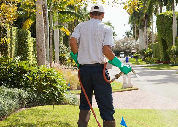 About Zachary LA Pest Control